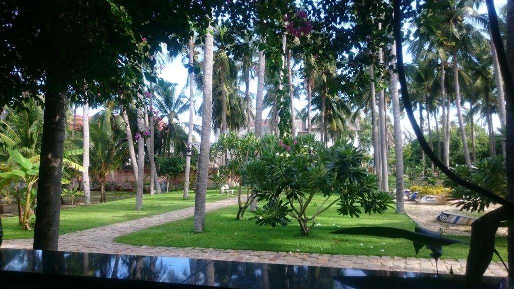 Catsen Bungalows & Rooms Mui Ne Dış mekan fotoğraf